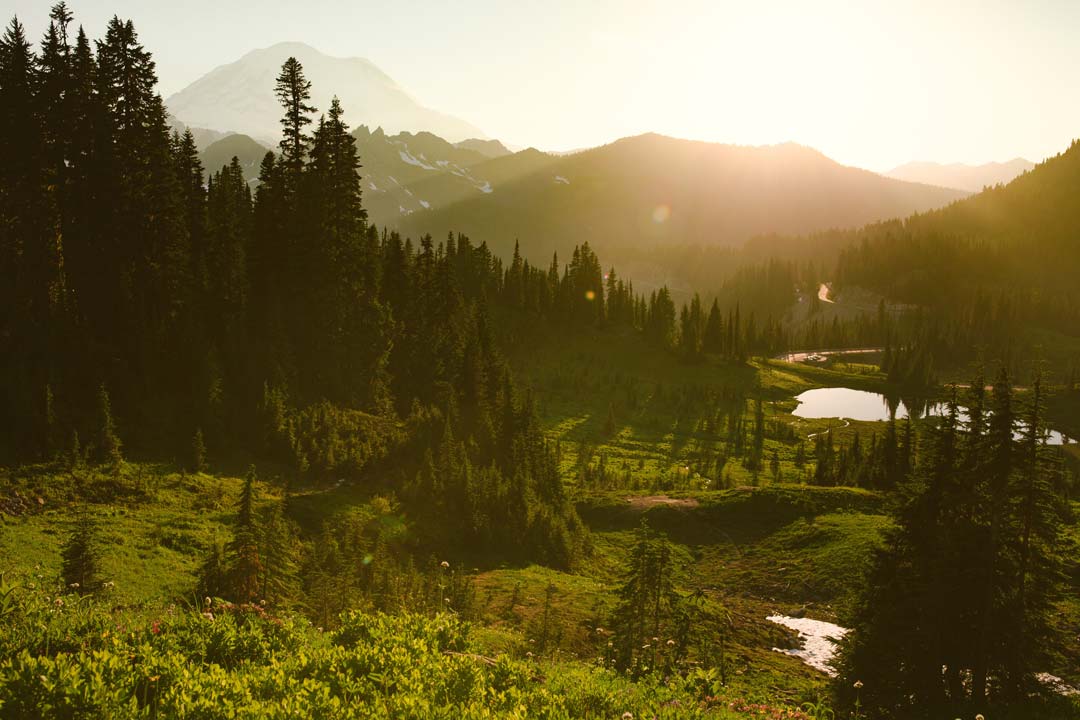 Hills and Forest Landscape